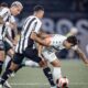 Botafogo x Portuguesa (Foto: Matheus Sanches/Portuguesa)