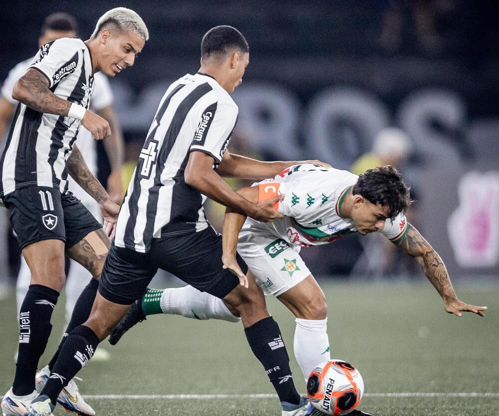 Botafogo x Portuguesa (Foto: Matheus Sanches/Portuguesa)