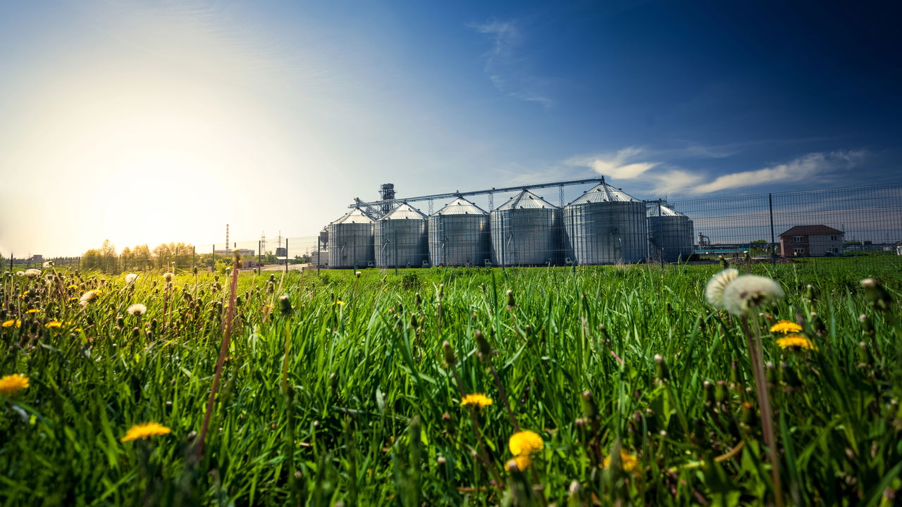 Agronegócio do Brasil é pilar do comércio global de alimentos