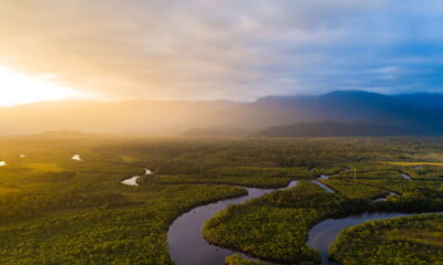 Amazônia: Uma aventura de exploração, cultura e biodiversidade em um só lugar