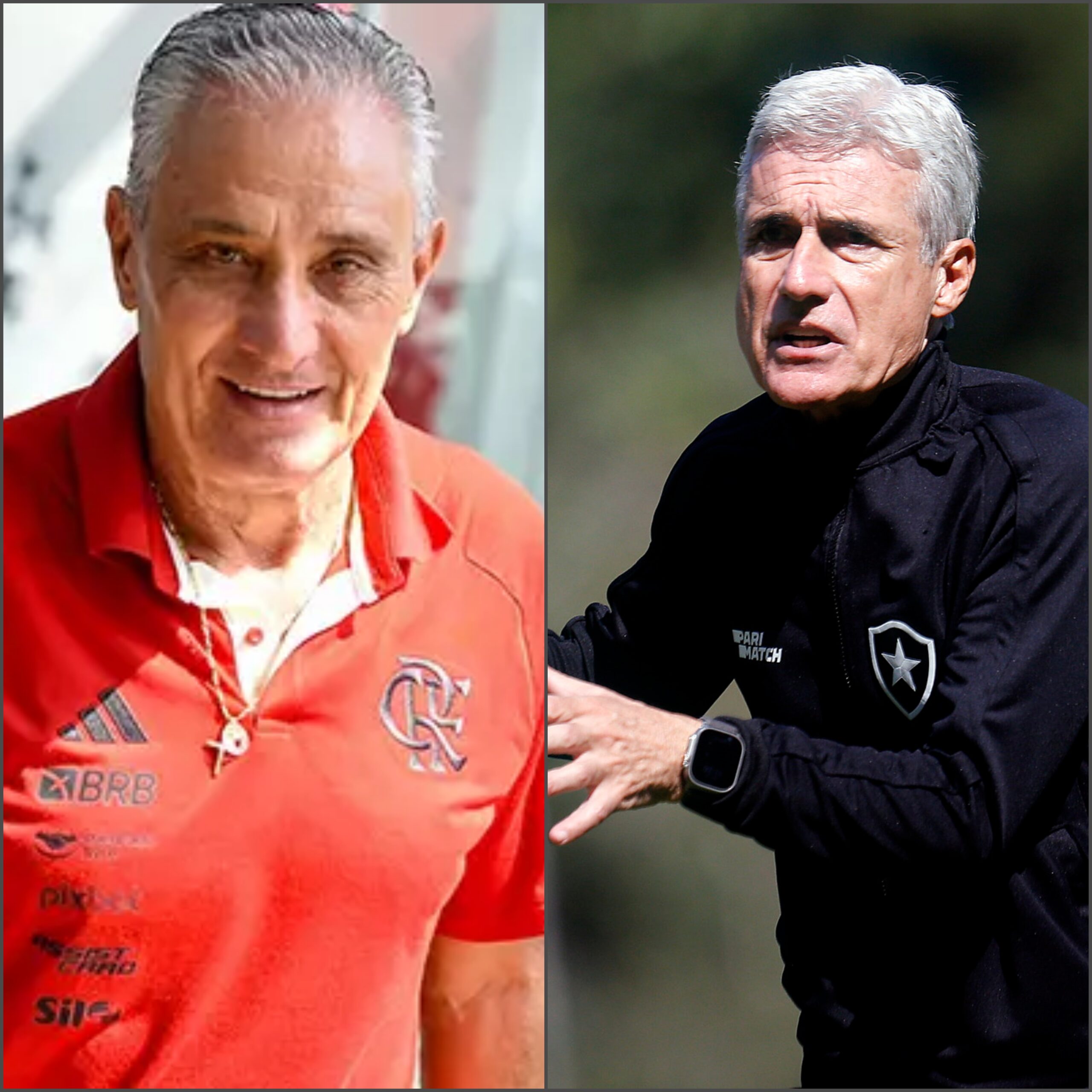 Tite e Luís Castro