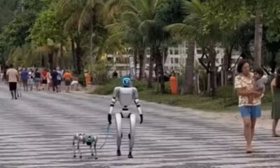 Robô e um cachorro robô 'passeiam' na orla da praia de São Francisco, em Niterói, sob olhar de curiosos