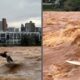 Montagem mostra homem surfando na cheia do Rio Doce