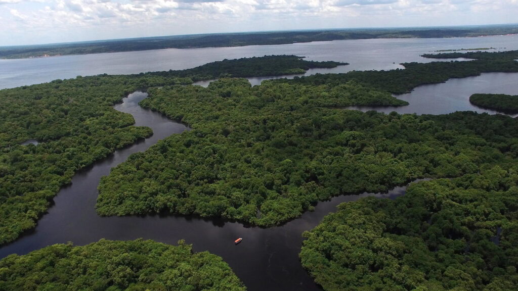 Conheça a Bacia Amazônica e como ela move a economia e a ecologia do Brasil