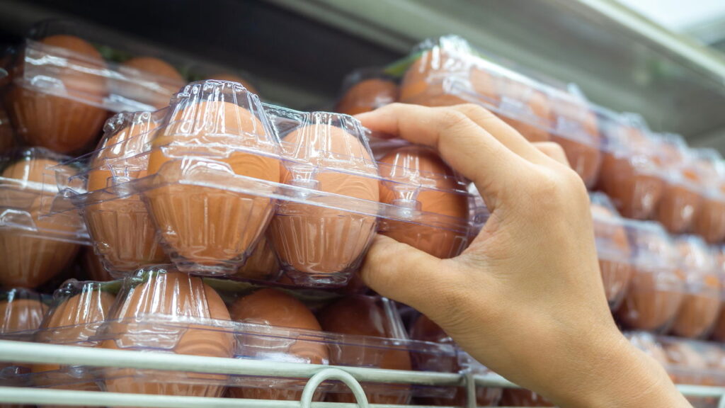 Preço dos ovos sobe no atacado e brasileiros sentem no bolso