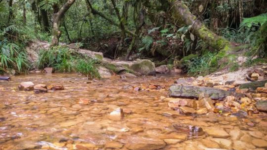 Saiba o motivo de São Tomé das Letras ser um lugar místico e histórico