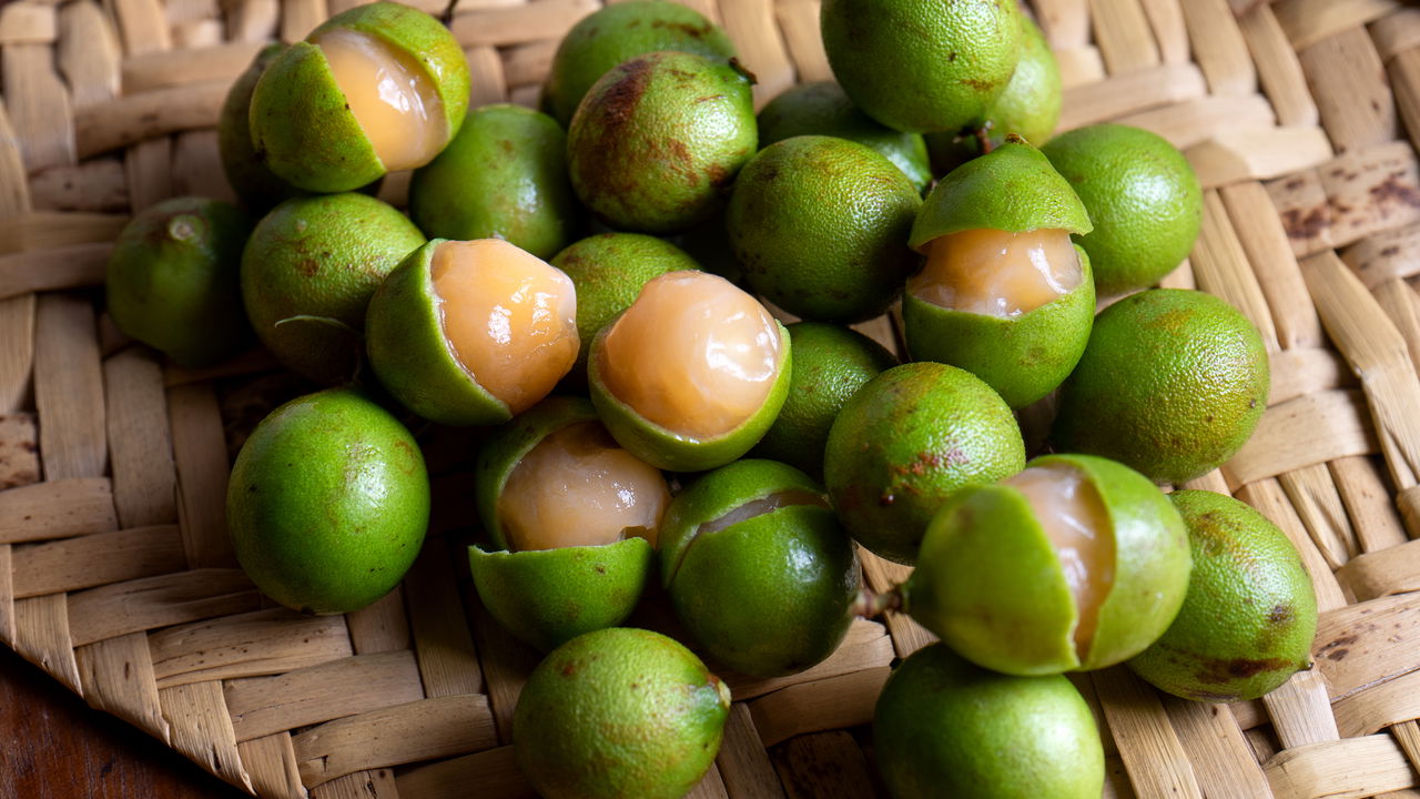 Quer uma árvore frutífera na calçada? Como escolher a melhor opção