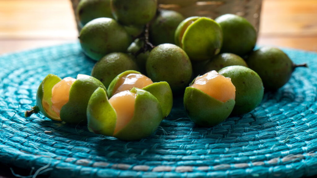 Quer uma árvore frutífera na calçada? Como escolher a melhor opção