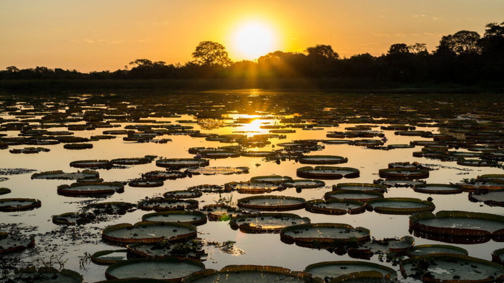 3 lugares no BRASIL estão entre os destinos MAIS BONITOS do MUNDO