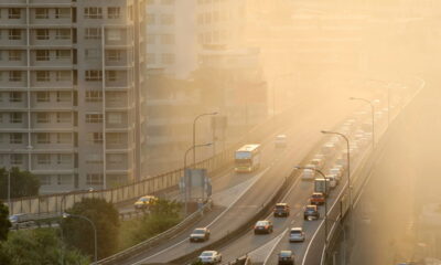 Cubatão já foi um desastre ambiental, mas algo mudou drasticamente