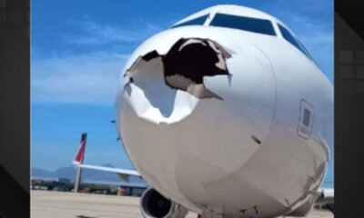 Avião colide com pássaro no Galeão