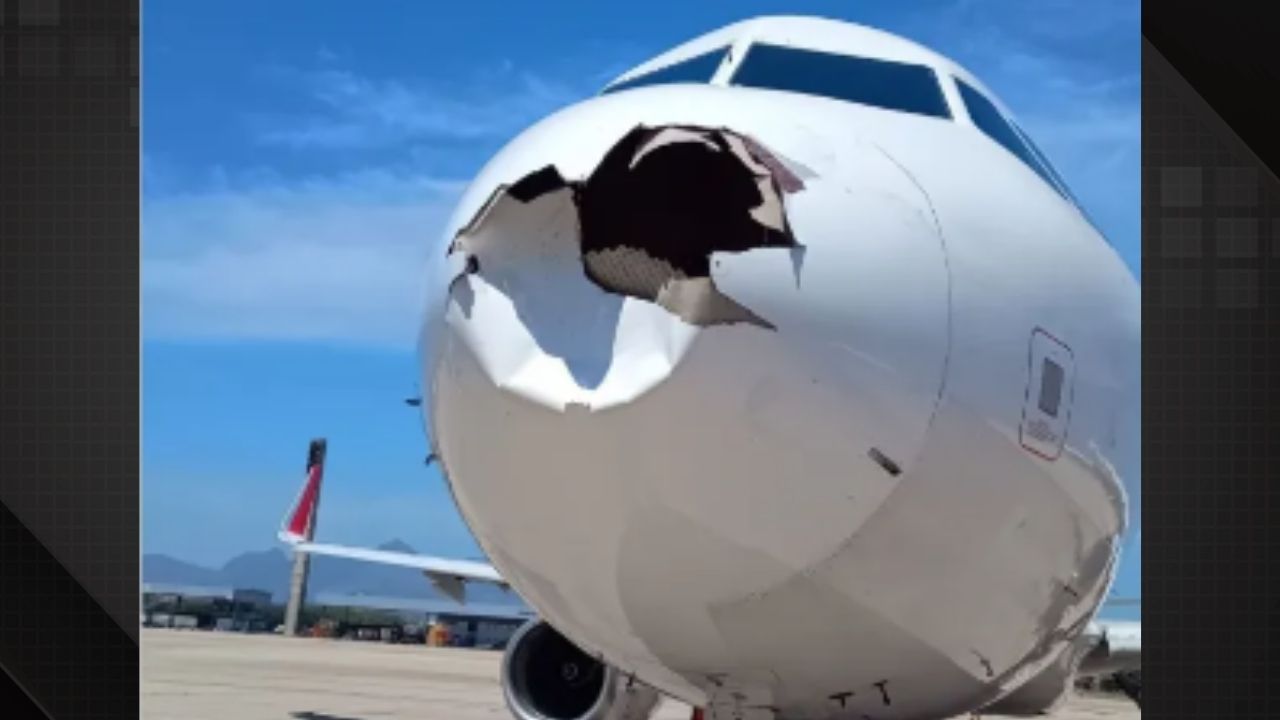 Avião colide com pássaro no Galeão