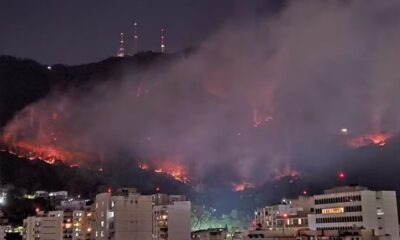 Incêndio Florestas Rio