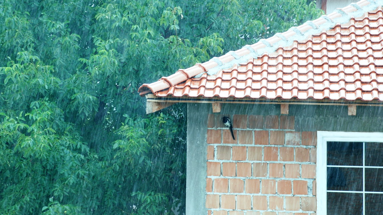 Mudanças climáticas? Veja por que as chuvas estão cada vez mais intensas