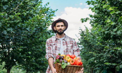 A fruta secreta para ganho de massa muscular! Descubra qual é