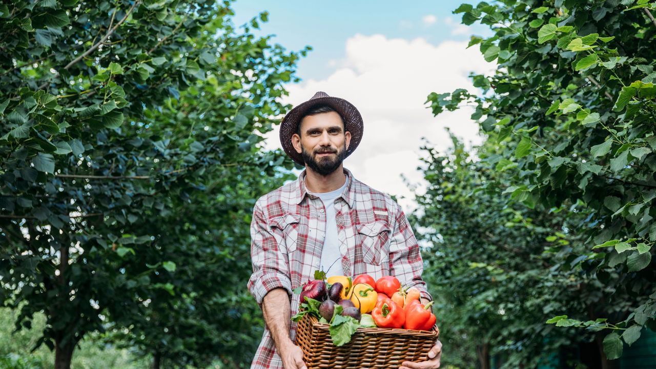 A fruta secreta para ganho de massa muscular! Descubra qual é