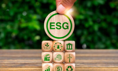 Investimentos ESG podem ser a chave para retornos milionários