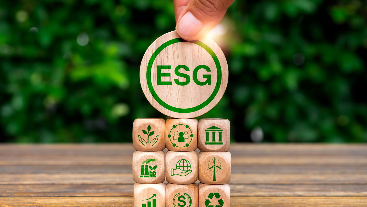 Investimentos ESG podem ser a chave para retornos milionários