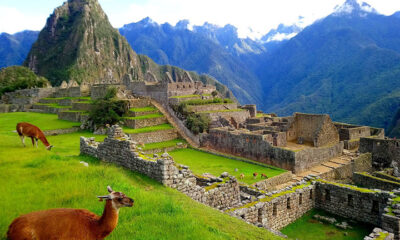 Explorador americano ‘redescobriu’ Machu Picchu; conheça a história