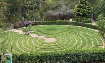 Jardins em forma de labirinto desafiam o senso de direção dos visitantes