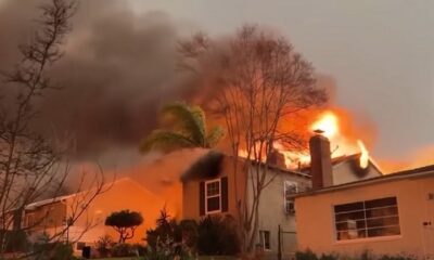 Entenda por que casas de madeira são tão comuns nos EUA