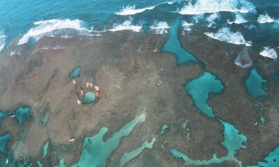 Costa dos Corais entre os estados de Alagoas e Pernambuco pode virar ‘cemitério submerso’