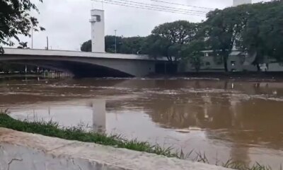 Não corre para o mar e água cristalina: surpreenda-se com o Rio Tietê