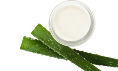 Conheça a babosa (aloe vera), suas utilidades e contraindicações