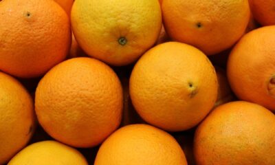 Laranja: poderosa para prevenir doenças e melhorar sua qualidade de vida