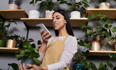 Identifique o nome de qualquer planta com seu celular, sem instalar nada!