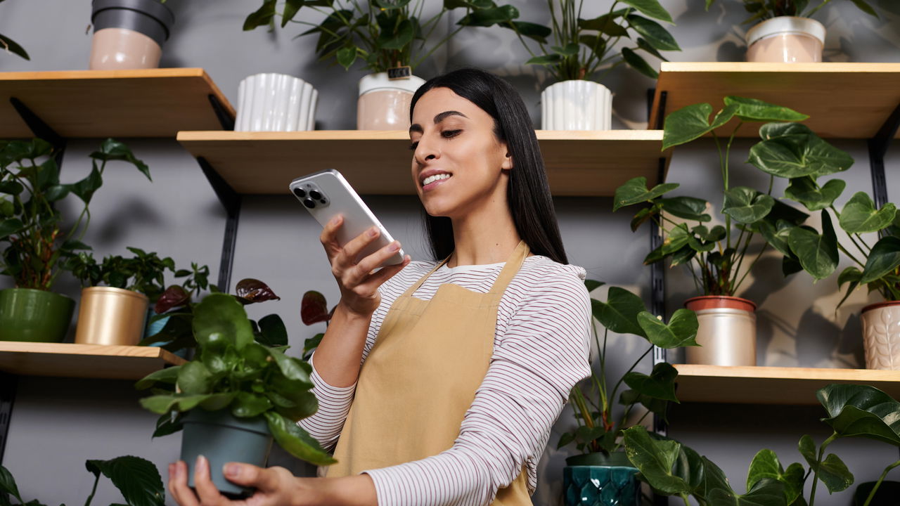 Identifique o nome de qualquer planta com seu celular, sem instalar nada!