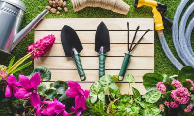 Quer um jardim incrível? Não perca esses produtos indispensáveis!