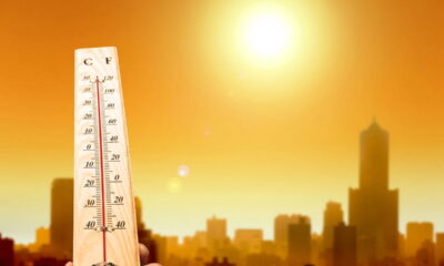 Estudo alarmante! Ondas de calor estão fugindo do controle