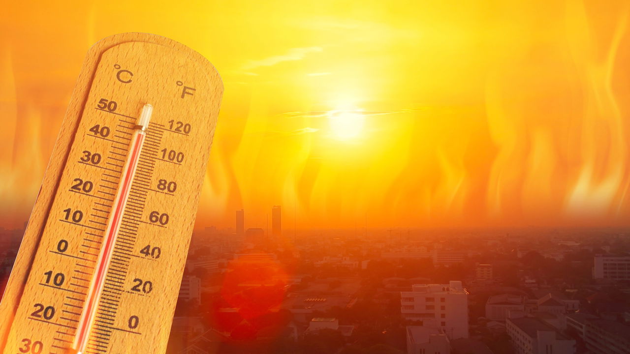 O calor de janeiro de 2025 bateu um novo recorde mundial