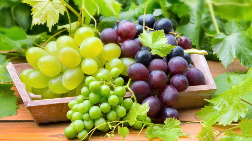 Você está armazenando uvas errado! Veja como evitar o desperdício