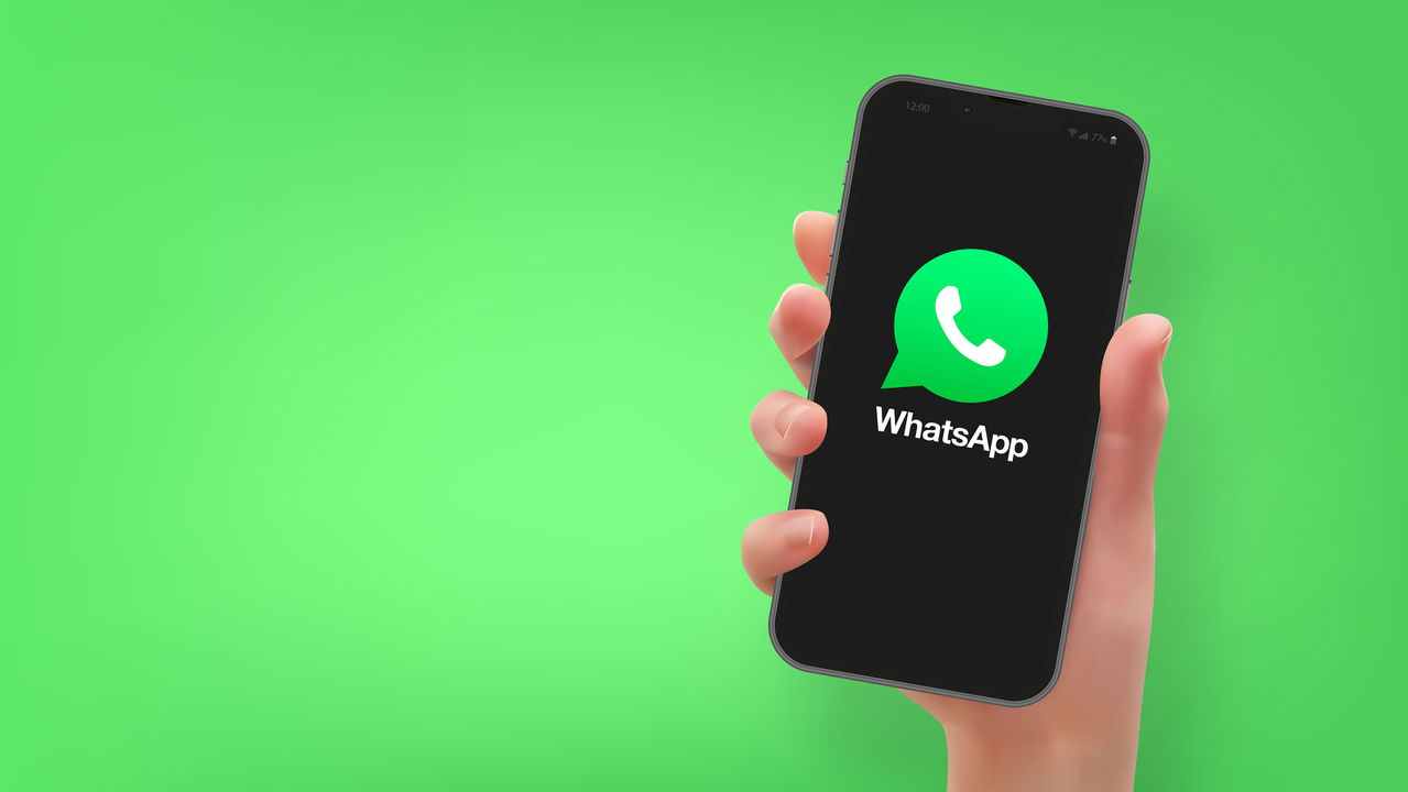 3 formas de saber quem tem seu número salvo no WhatsApp!