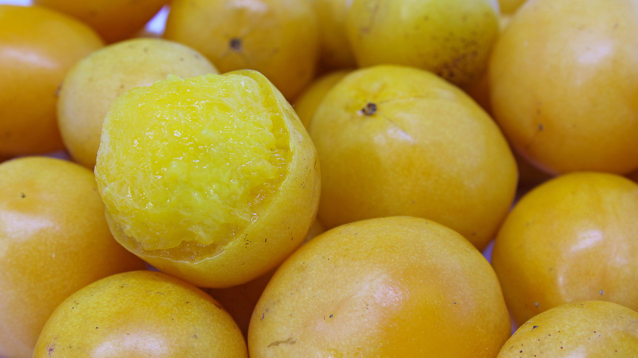 Plantar cajá nunca foi tão fácil! Veja como ter essa fruta em casa