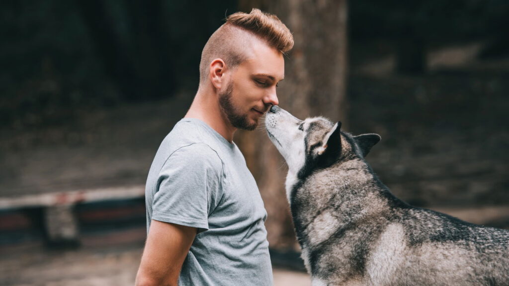 Seu cachorro não te obedece? 4 truques para mudar isso agora!