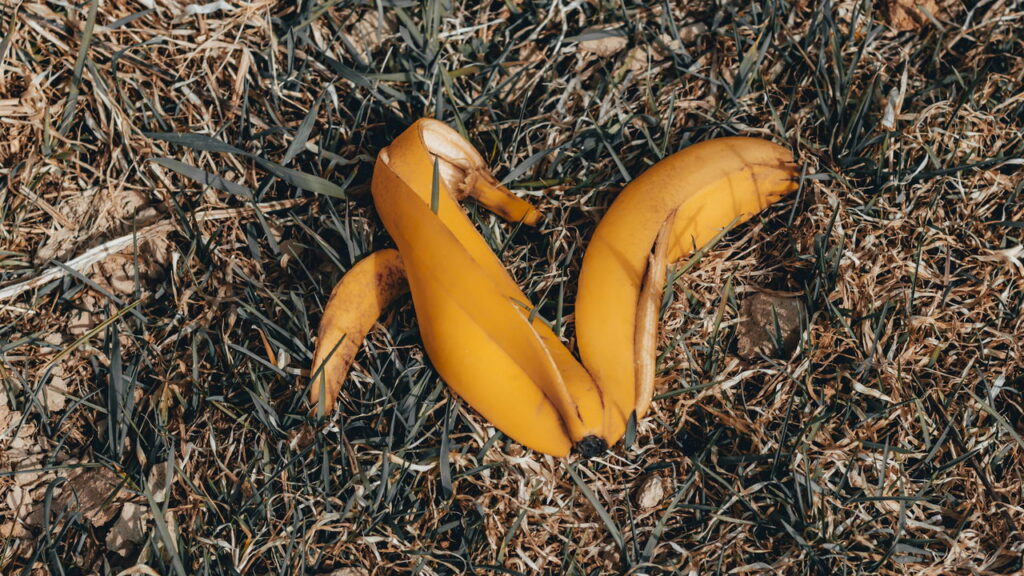 A casca de banana é a chave para um jardim saudável e sustentável!