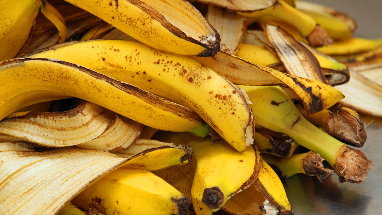 A casca de banana é a chave para um jardim saudável e sustentável!