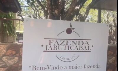 Vinho de jabuticaba: Cidade com maior pomar da fruta no mundo fica no Brasil