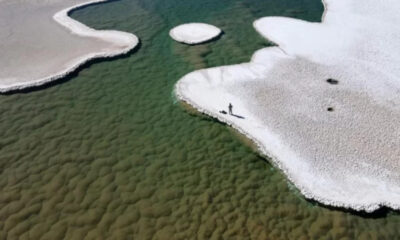 Lagoas de micróbios em deserto na Argentina causam curiosidade