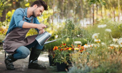 Veja o horário ideal para regar suas plantas!