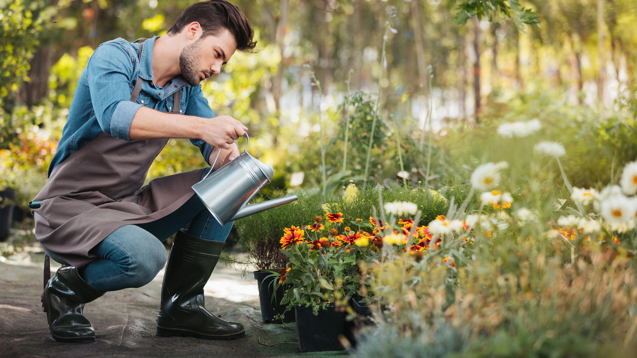 Veja o horário ideal para regar suas plantas!