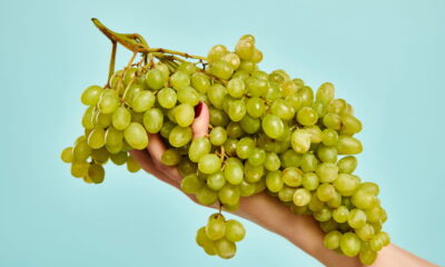 Passo a passo para plantar e cuidar de uvas verdes