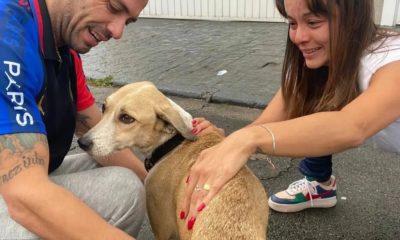 Reencontro de Reinaldo Junior com a cadela Pandora neste domingo (30), depois de 45 dias de desaparecimento