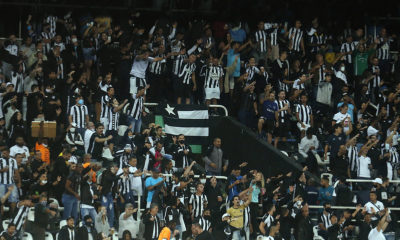 Torcida do Botafogo comemora vitória sobre o Brusque