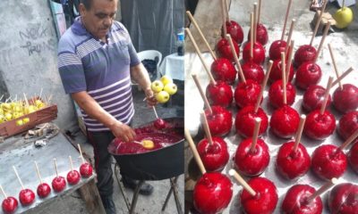 Internautas ajudam jovem a cobrir prejuízo deixado por cliente que encomendou 1.500 maçãs do amor