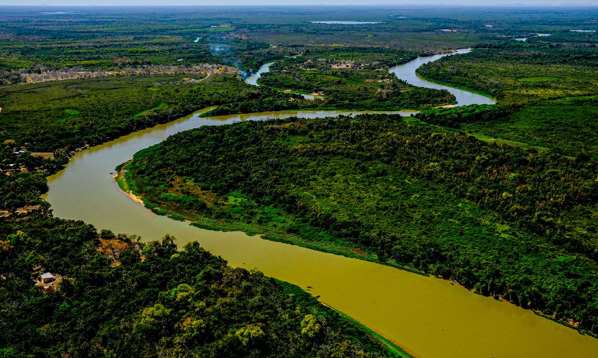 Pantanal 