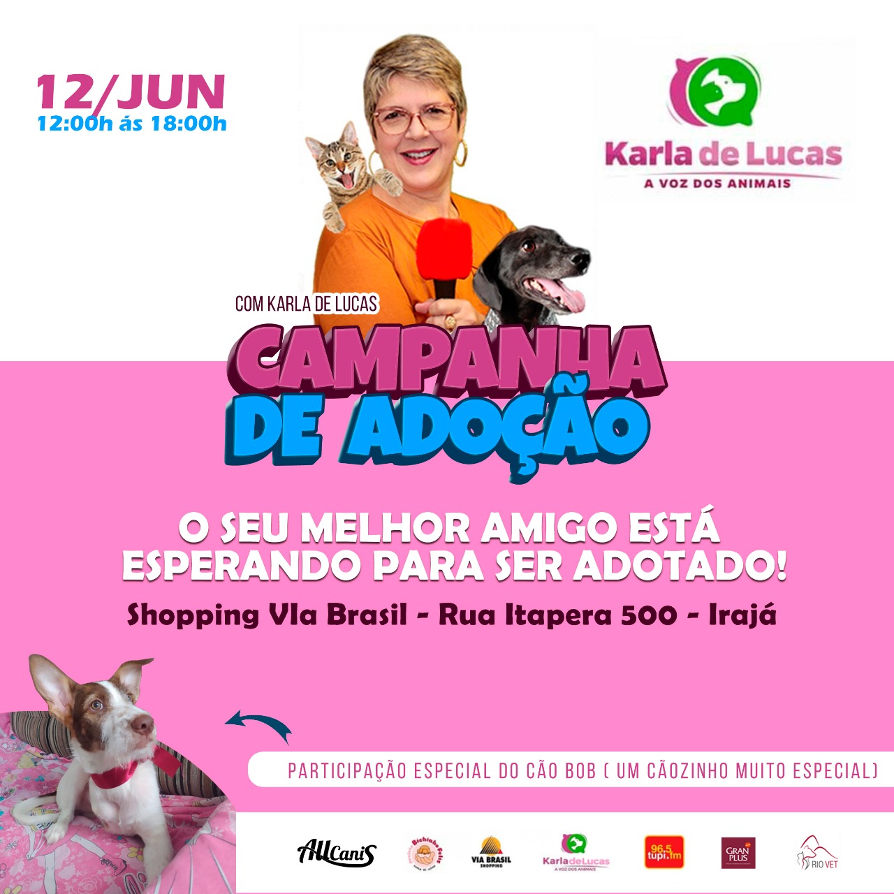 campanha adoção animais